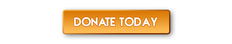 donate today button 768