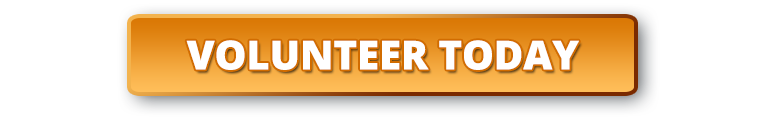 Volunteer button 768